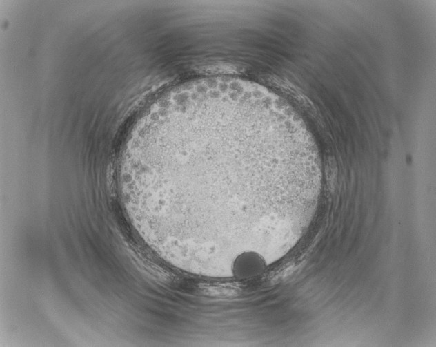 X0000061720359200512302126