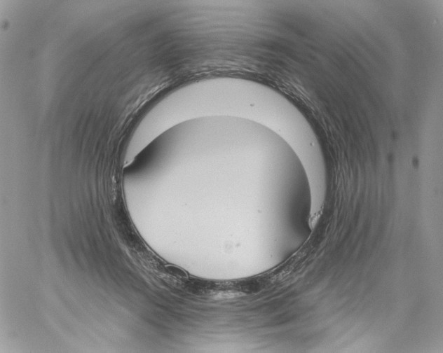 X0000061720360200512302126