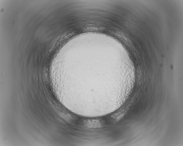 X0000061720361200512302126