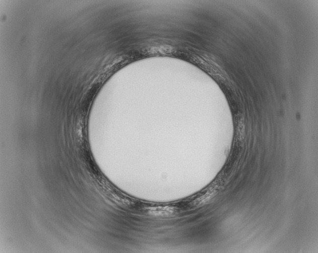 X0000061720363200512302126