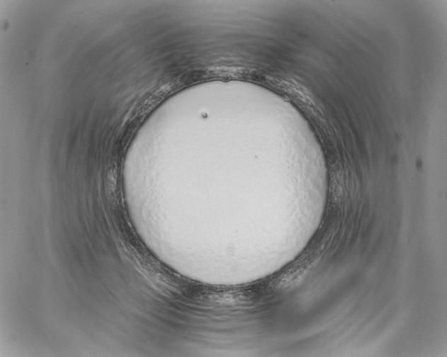 X0000061720365200512302126