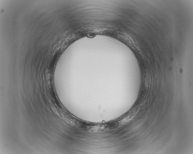 X0000061720366200512302126