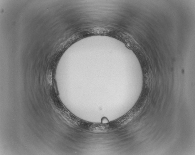 X0000061720368200512302126