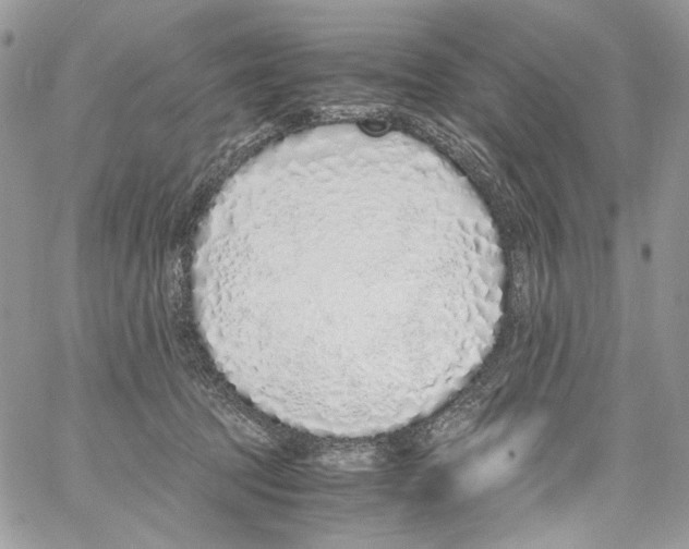 X0000061720369200512302126