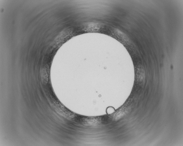 X0000061720370200512302126