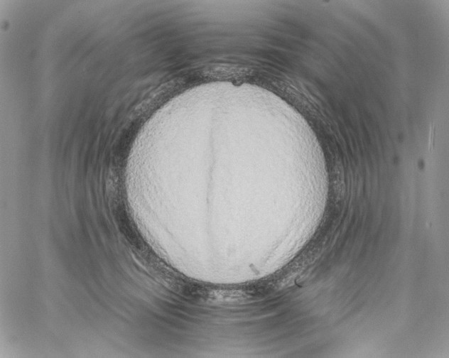 X0000061720371200512302126