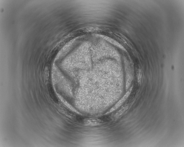 X0000061720372200512302126