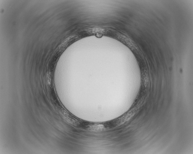 X0000061720374200512302126