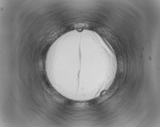 X0000061720375200512302126