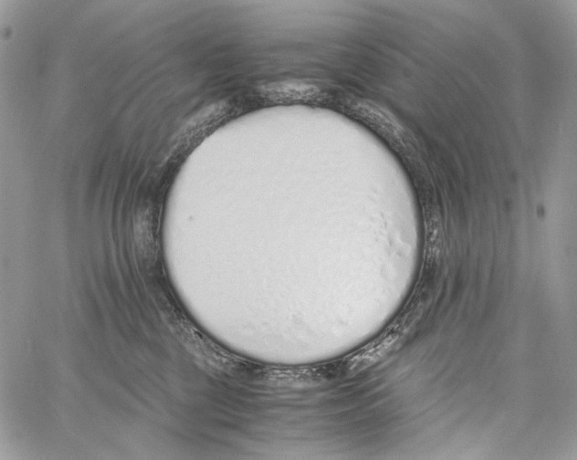 X0000061720377200512302126