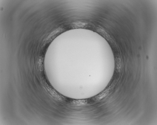 X0000061720378200512302126