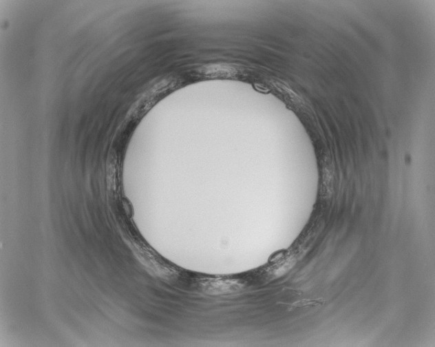 X0000061720379200512302126