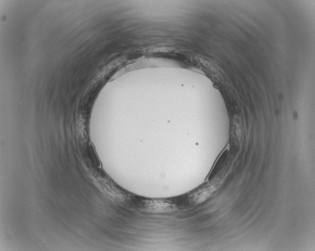 X0000061720380200512302126