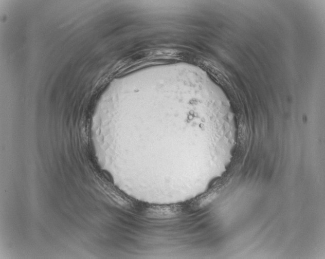 X0000061720381200512302126