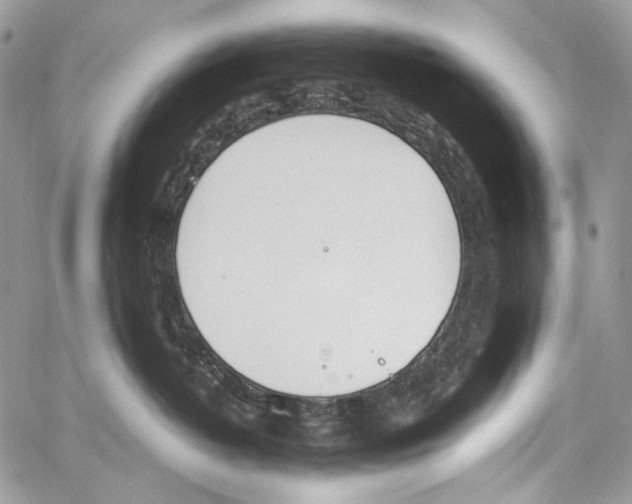 X0000061720382200512302126