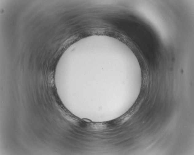 X0000061720383200512302126