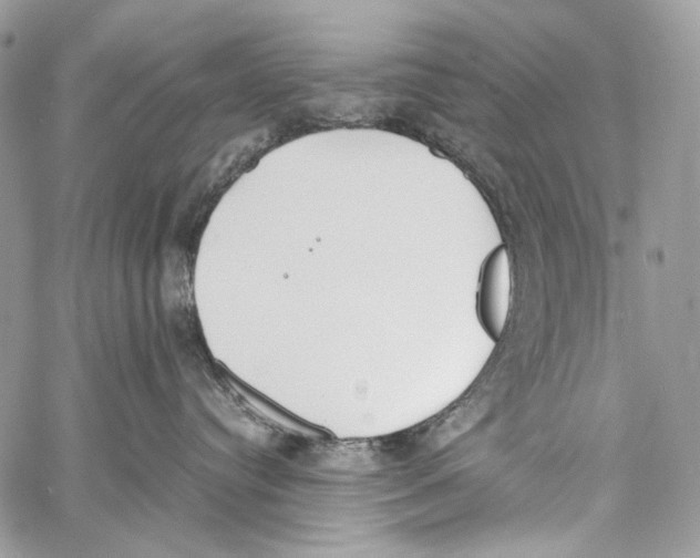 X0000061720384200512302126