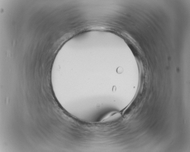 X0000061720385200512302125