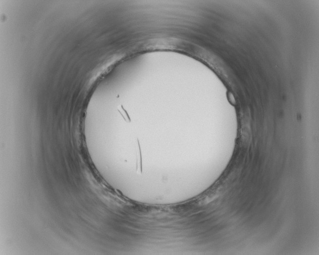 X0000061720386200512302125