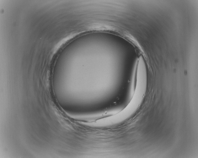 X0000061720387200512302125