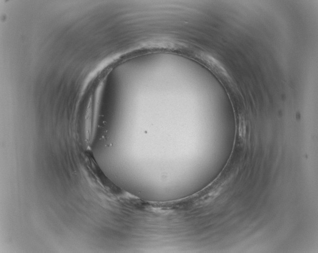 X0000061720388200512302125