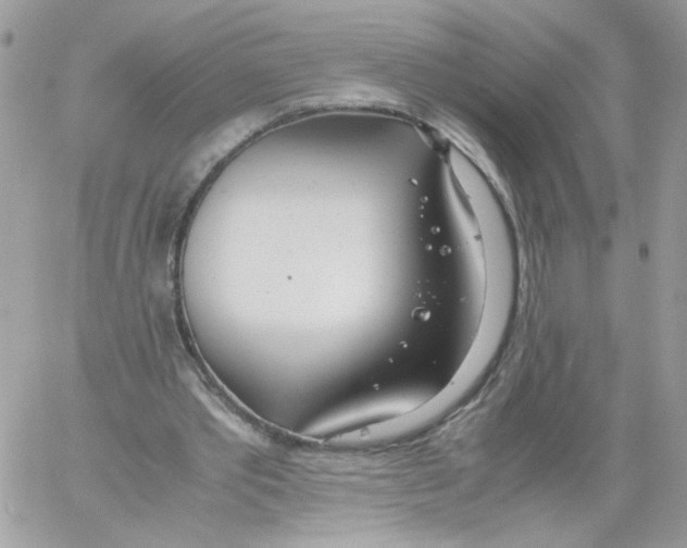 X0000061720389200512302125