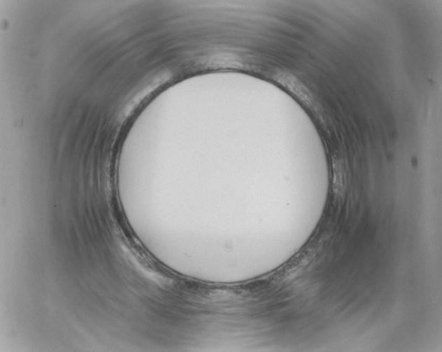 X0000061720390200512302125