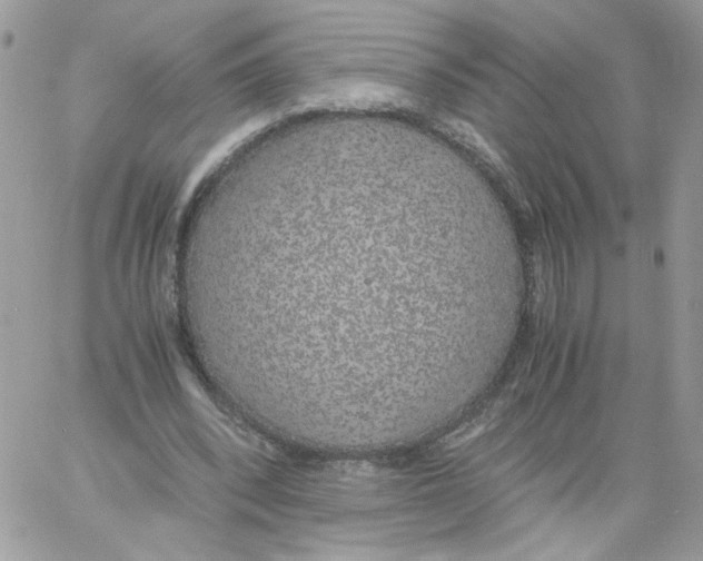 X0000061720392200512302125