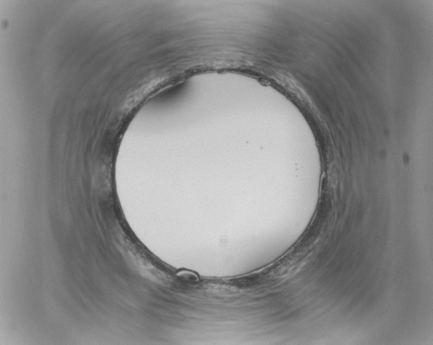 X0000061720393200512302125