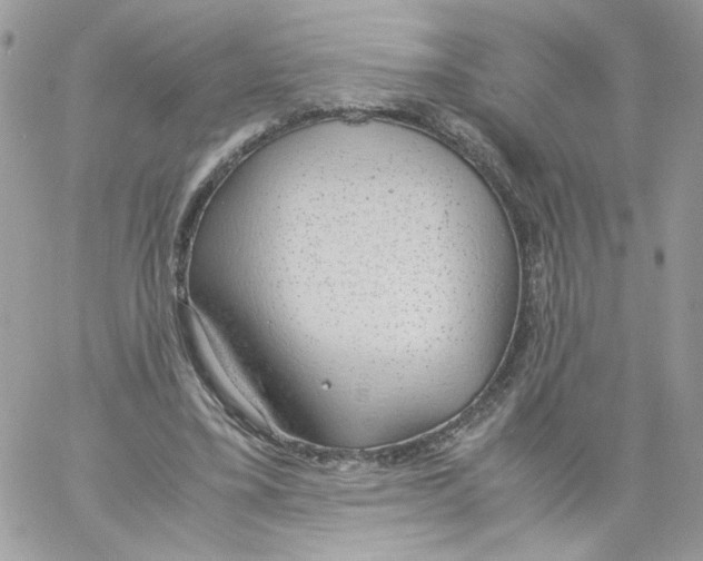 X0000061720395200512302125