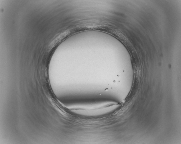 X0000061720397200512302125