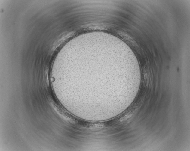 X0000061720398200512302125