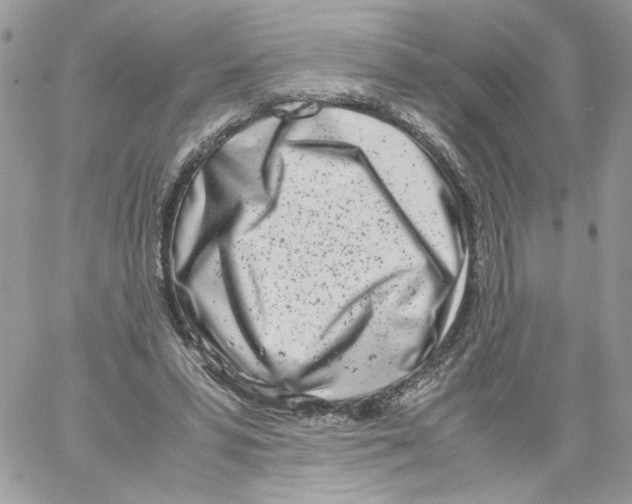 X0000061720399200512302125