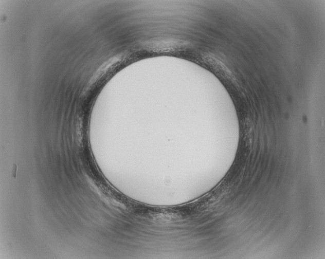 X0000061720400200512302125