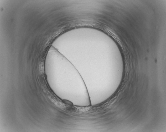 X0000061720401200512302125