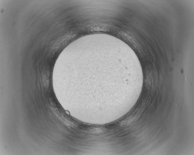 X0000061720402200512302125