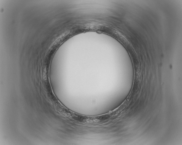 X0000061720403200512302125