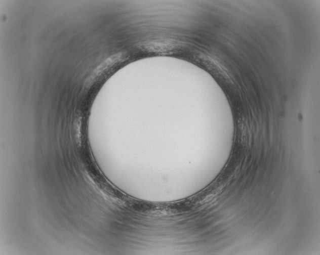 X0000061720404200512302125