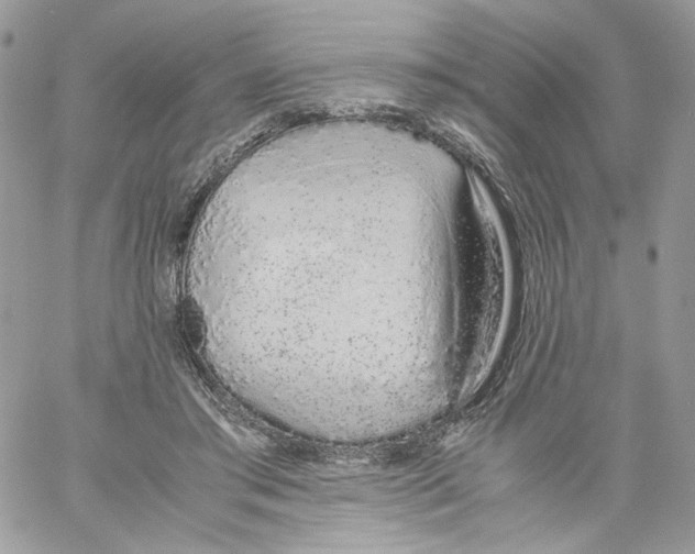 X0000061720405200512302125