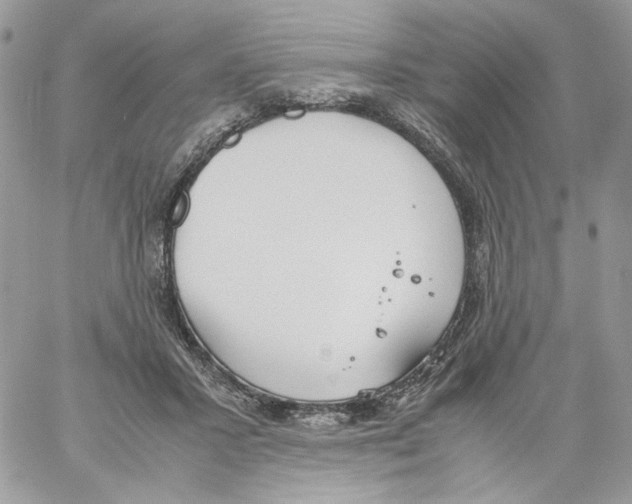 X0000061720407200512302125