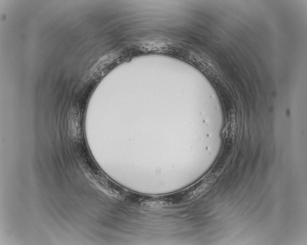 X0000061720408200512302125