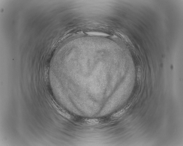 X0000061720409200512302125