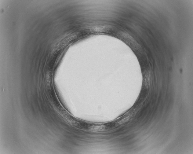 X0000061720410200512302125