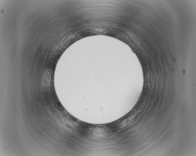 X0000061720412200512302125