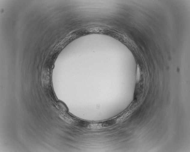 X0000061720413200512302125