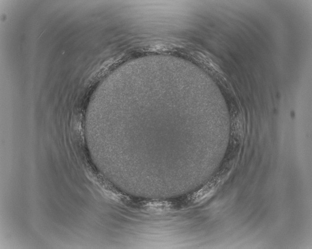 X0000061720415200512302125