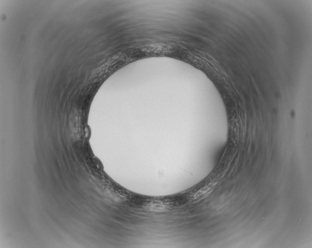 X0000061720416200512302125