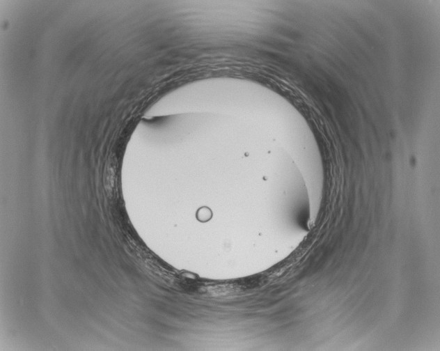 X0000061720417200512302125