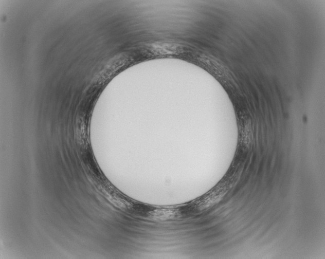 X0000061720418200512302125