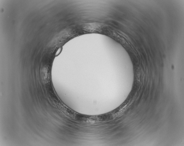 X0000061720420200512302125